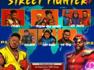 Springle, Street Fighter, download,zip, zippyshare, fakaza, EP, datafilehost, album, House Music, Amapiano, Amapiano 2026, Amapiano Mix, Amapiano Music