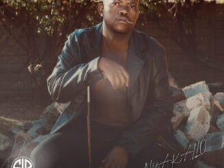 Stapee, Nyakallo, download, zip, zippyshare, fakaza, EP, datafilehost, album, House Music, Amapinao, Amapiano 2026, Amapiano Mix, Amapiano Music