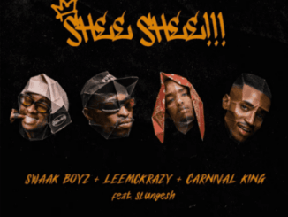 Swaak Boyz, SHEE SHEE!!!, Leemckrazy, Carnival King, Slungesh,mp3, download, datafilehost, toxicwap, fakaza,House Music, Amapiano, Amapiano 2026, Amapiano Mix, Amapiano Music