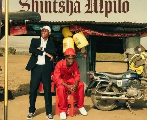 TitoM, Shintsha Mpilo, DT.MO, mp3, download, datafilehost, toxicwap, fakaza,House Music, Amapiano, Amapiano 2026, Amapiano Mix, Amapiano Music