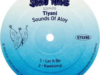 Tiyani, Sounds Of Aloy, download ,zip, zippyshare, fakaza, EP, datafilehost, album, Deep House Mix, Deep House, Deep House Music, Deep Tech, Afro Deep Tech, House Music