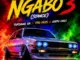 TopDawg SA, Ngabo 3, Stance, Tito Keys, Ceefu CNGS, mp3, download, datafilehost, toxicwap, fakaza,House Music, Amapiano, Amapiano 2026, Amapiano Mix, Amapiano Music