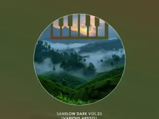 Various Artists, Sanelow Dark, Vol. 23, download ,zip, zippyshare, fakaza, EP, datafilehost, album, Deep House Mix, Deep House, Deep House Music, Deep Tech, Afro Deep Tech, House Music