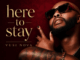 Vusi Nova, Here To Stay, download ,zip, zippyshare, fakaza, EP, datafilehost, album, Afro House, Afro House 2026, Afro House Mix, Afro House Music, Afro Tech, House Music