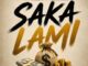 Amaqhawe, Saka Lami, Sim Tornado, Philharmonic, unclekay, mp3, download, datafilehost, toxicwap, fakaza,House Music, Amapiano, Amapiano 2026, Amapiano Mix, Amapiano Music