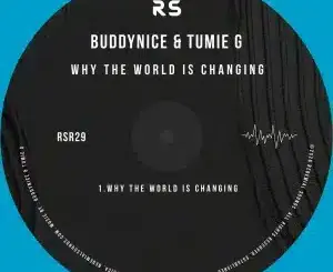 Buddynice, Why the World Is Changing, Tumie G, mp3, download, datafilehost, toxicwap, fakaza, Deep House Mix, Deep House, Deep House Music, Deep Tech, Afro Deep Tech, House Music