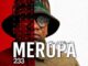 Ceega, Meropa 233, It’s A Journey Of Souls, mp3, download, datafilehost, toxicwap, fakaza,House Music, Amapiano, Amapiano 2026, Amapiano Mix, Amapiano Music