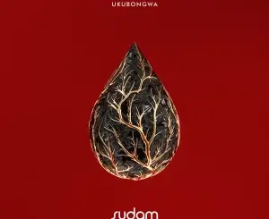 DJ KID, Ukubongwa, Original Mix, Nomvula SA, mp3, download, datafilehost, toxicwap, fakaza, Afro House, Afro House 2026, Afro House Mix, Afro House Music, Afro Tech, House Music