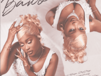 DJ Tshegu, Bawo, JayJayy, Bassie, LeeMcKrazy, Sims Noreng, Khathapillar, mp3, download, datafilehost, toxicwap, fakaza,House Music, Amapiano, Amapiano 2026, Amapiano Mix, Amapiano Music