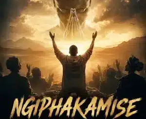 Deejay Zebra SA, Ngiphakamise, Dr Dope, mp3, download, datafilehost, toxicwap, fakaza, Gqom Beats, Gqom Songs, Gqom Music, Gqom Mix, House Music