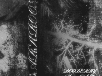 DooBerry, DarkRoom ft DT.MO, Morena Deh Keys, mp3, download, datafilehost, toxicwap, fakaza,House Music, Amapiano, Amapiano 2026, Amapiano Mix, Amapiano Music