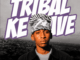 Kayvin_Jazz, Tribal Ke Wave, Djy Mow Sa, Vibekulture Sa,Sthipla rsa, mp3, download, datafilehost, toxicwap, fakaza,House Music, Amapiano, Amapiano 2026, Amapiano Mix, Amapiano Music