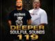Knight SA, Deeper Soulful Sounds Vol.119, We Go Deeper, Lebtronik SA,mp3, download, datafilehost, toxicwap, fakaza,House Music, Amapiano, Amapiano 2026, Amapiano Mix, Amapiano Music