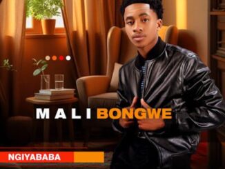 Malibongwe, Ngiyababa, download ,zip, zippyshare, fakaza, EP, datafilehost, album, Maskandi Songs, Maskandi, Maskandi Mix, Maskandi Music, Maskandi Classics