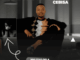 Mayonnaise Cebisa, Nhliziyo Dela, Snakhokonke Xulu, Nzunzo we Zihlabani,mp3, download, datafilehost, toxicwap, fakaza, Maskandi Songs, Maskandi, Maskandi Mix, Maskandi Music, Maskandi Classics