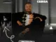 Mayonnaise Cebisa, Nhliziyo Dela, mp3, download, datafilehost, toxicwap, fakaza, Maskandi Songs, Maskandi, Maskandi Mix, Maskandi Music, Maskandi Classics