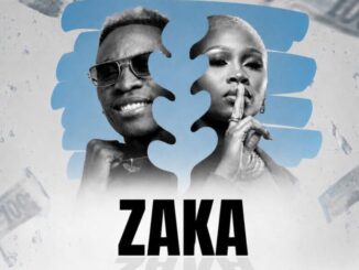 Memie, Zaka, Dr Skaro, mp3, download, datafilehost, toxicwap, fakaza,House Music, Amapiano, Amapiano 2026, Amapiano Mix, Amapiano Music