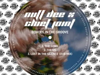 NUF DeE, Chief Joint, Echoes In The Groove,download ,zip, zippyshare, fakaza, EP, datafilehost, album, Deep House Mix, Deep House, Deep House Music, Deep Tech, Afro Deep Tech, House Music