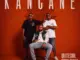 QuiteSoul, Kancane, Ishuu Twin , Lacole Rsa mp3, download, datafilehost, toxicwap, fakaza, Afro House, Afro House 2026, Afro House Mix, Afro House Music, Afro Tech, House Music