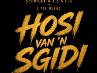 Sherique, Hosi Van a Sgidi, tbs djs, J_T08_Musiiq, mp3, download, datafilehost, toxicwap, fakaza,House Music, Amapiano, Amapiano 2026, Amapiano Mix, Amapiano Music