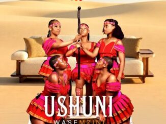 Shuni WaseMzini, Umzukulu uyighost, download ,zip, zippyshare, fakaza, EP, datafilehost, album, Maskandi Songs, Maskandi, Maskandi Mix, Maskandi Music, Maskandi Classics