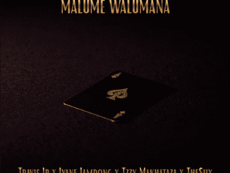 Travis Jr, Malume Walumana, Iyane Jamdong, Tzzy Makhathaza, Thesiix,mp3, download, datafilehost, toxicwap, fakaza,House Music, Amapiano, Amapiano 2026, Amapiano Mix, Amapiano Music