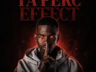 Treezy_T, TaPerc Effect, download,zip, zippyshare, fakaza, EP, datafilehost, album, House Music, Amapiano, Amapiano 2026, Amapiano Mix, Amapiano Music