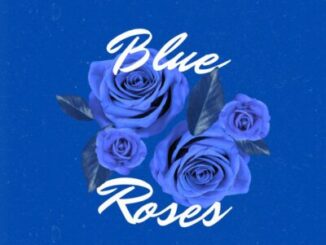 TshegoDeDjy, Blue Roses, mp3, download, datafilehost, toxicwap, fakaza,House Music, Amapiano, Amapiano 2026, Amapiano Mix, Amapiano Music
