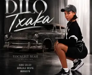 Vocalist Riah, Dilo Txaka, Bohlale Desta, Morosto, King Salah, mp3, download, datafilehost, toxicwap, fakaza, Maskandi Songs, Maskandi, Maskandi Mix, Maskandi Music, Maskandi Classics