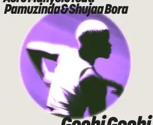 Aero Manyelo, Gochi Gochi, Extended Mix, Pamuzinda, Shujaa Bora,mp3, download, datafilehost, toxicwap, fakaza, Afro House, Afro House 2026, Afro House Mix, Afro House Music, Afro Tech, House Music