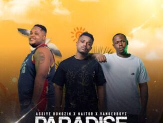 Assiye Bongzin, Paradise, Naitor, Vanger Boyz, mp3, download, datafilehost, toxicwap, fakaza, Gqom Beats, Gqom Songs, Gqom Music, Gqom Mix, House Music