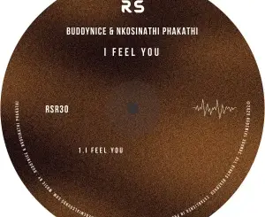 Buddynice, I Feel You, Nkosinathi Phakathi, mp3, download, datafilehost, toxicwap, fakaza, Deep House Mix, Deep House, Deep House Music, Deep Tech, Afro Deep Tech, House Music
