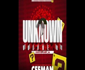 Ceeman, Unknown Vol. 01, Strictly Lkay SA, mp3, download, datafilehost, toxicwap, fakaza,House Music, Amapiano, Amapiano 2026, Amapiano Mix, Amapiano Music
