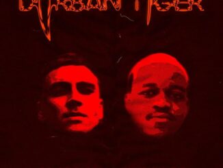 Celso Fabbri, Durban Tiger, Kiing Bhutie, mp3, download, datafilehost, toxicwap, fakaza, Gqom Beats, Gqom Songs, Gqom Music, Gqom Mix, House Music