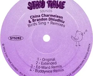 China Charmeleon, Birds Sing, Ed-Ward Remix, Brandon Dhludhlu, mp3, download, datafilehost, toxicwap, fakaza, Afro House, Afro House 2026, Afro House Mix, Afro House Music, Afro Tech, House Music