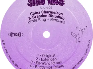 China Charmeleon, Brandon Dhludhlu, Birds Sing Remixes, download ,zip, zippyshare, fakaza, EP, datafilehost, album, Deep House Mix, Deep House, Deep House Music, Deep Tech, Afro Deep Tech, House Music