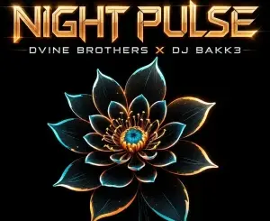 DJ Bakk3, Night Pulse, Dvine Brothers, mp3, download, datafilehost, toxicwap, fakaza, Deep House Mix, Deep House, Deep House Music, Deep Tech, Afro Deep Tech, House Music