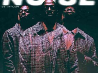 De Mthuda, Sasingenjena, Mnqobi Yazo, Kabza De Small, Lyrics,