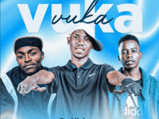 De Niakeyz, Vuka Vuka, Osama Mchacho, DJ Tearz SA, Aofishehlaga Stellenbosch,mp3, download, datafilehost, toxicwap, fakaza,House Music, Amapiano, Amapiano 2026, Amapiano Mix, Amapiano Music