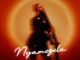 De Rose, Nyamezela, Tycoon, OofDawg, Tracy, mp3, download, datafilehost, toxicwap, fakaza,House Music, Amapiano, Amapiano 2026, Amapiano Mix, Amapiano Music