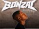 Dereal Bonile, Bonzai, Bass Factory,download, zip, zippyshare, fakaza, EP, datafilehost, album, House Music, Amapinao, Amapiano 2026, Amapiano Mix, Amapiano Music
