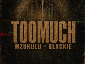 Digital Maskandi, Too Much, Mzukulu, Blxckie,mp3, download, datafilehost, toxicwap, fakaza, Maskandi Songs, Maskandi, Maskandi Mix, Maskandi Music, Maskandi Classics