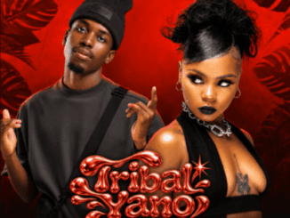 DrummeRTee924, Tribal Yano Bass, Ghostlee, Fukx Iconic, TheBunny04, mp3, download, datafilehost, toxicwap, fakaza,House Music, Amapiano, Amapiano 2026, Amapiano Mix, Amapiano Music