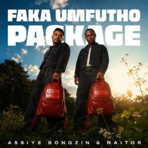 Naitor, Assiye Bongzin, Faka Mfutho, download ,zip, zippyshare, fakaza, EP, datafilehost, album, Gqom Beats, Gqom Songs, Gqom Music, Gqom Mix, House Music