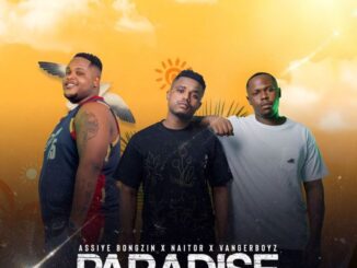 Naitor, Paradise, Assiye Bongzin, Vanger Boyz, mp3, download, datafilehost, toxicwap, fakaza, Gqom Beats, Gqom Songs, Gqom Music, Gqom Mix, House Music
