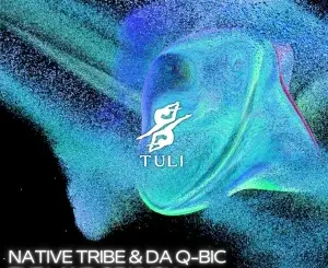 Native Tribe, The Land of Kush, Da Q-Bic, mp3, download, datafilehost, toxicwap, fakaza, Afro House, Afro House 2026, Afro House Mix, Afro House Music, Afro Tech, House Music