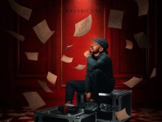 Ntsako XVI, XVI’s Diary, download,zip, zippyshare, fakaza, EP, datafilehost, album, House Music, Amapiano, Amapiano 2026, Amapiano Mix, Amapiano Music