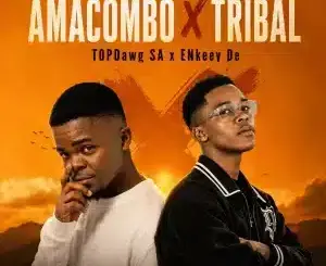 TopDawg SA, Amacombo, Tribal, ENkeey De,mp3, download, datafilehost, toxicwap, fakaza,House Music, Amapiano, Amapiano 2026, Amapiano Mix, Amapiano Music