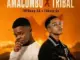 TopDawg SA, Amacombo, Tribal, ENkeey De,mp3, download, datafilehost, toxicwap, fakaza,House Music, Amapiano, Amapiano 2026, Amapiano Mix, Amapiano Music