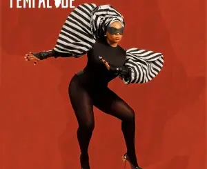 Yemi Alade, Earth Song, Sofiya Nzau, Njerae, mp3, download, datafilehost, toxicwap, fakaza, Afro House, Afro House 2026, Afro House Mix, Afro House Music, Afro Tech, House Music